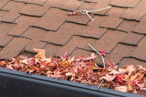 Why It S Important To Keep Gutters Free Of Debris Clc Roofing