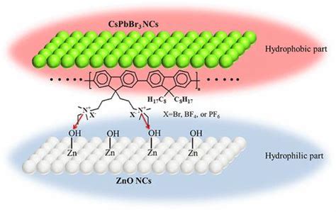 带有不同抗衡离子的共轭聚电解质对 Zno 纳米晶的表面修饰用于倒置钙钛矿发光二极管acs Omega X Mol