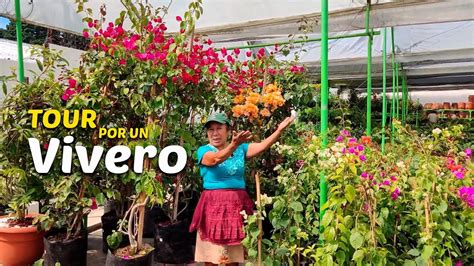 Tour Por Un Hermoso Vivero En Guatemala YouTube