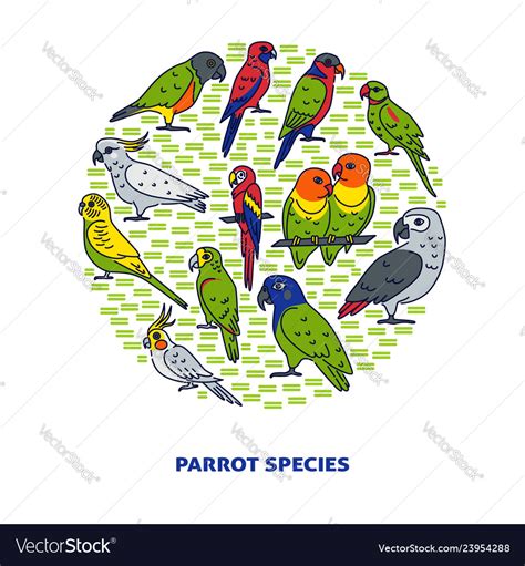 Bright Parrot Round Concept Banner In Colored Line