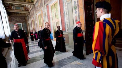 El consejo de los cardenales trabaja sobre la reforma del Sínodo y la