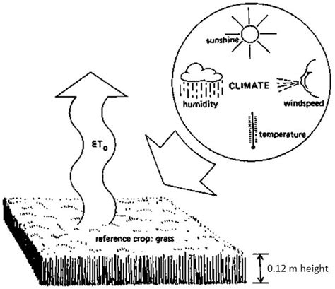 Eto Reference Crop Evapotranspiration Explained Implexx Sense