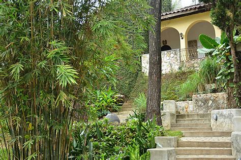 Stairway Of Pinto Art Museum In Antipolo Rizal Philippines Photo