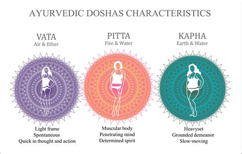 3 Ayurvedic Doshas And Their Energies The Tribe Concepts