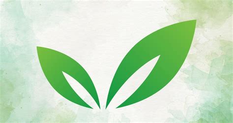 Ear infections · Holistic Health Champions Free