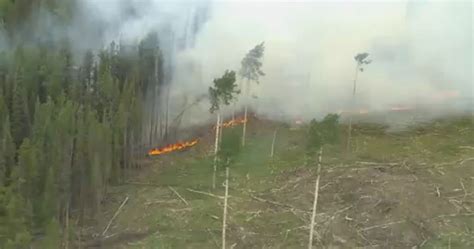 Wind Still Blowing Away From Tumbler Ridge Crews Working Hard On Fire
