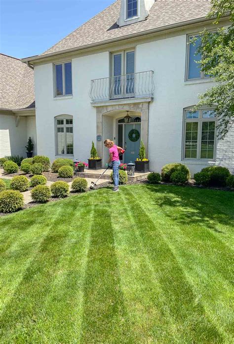 How To Stripe Your Lawn Sincerely Sara D Home Decor Diy Projects