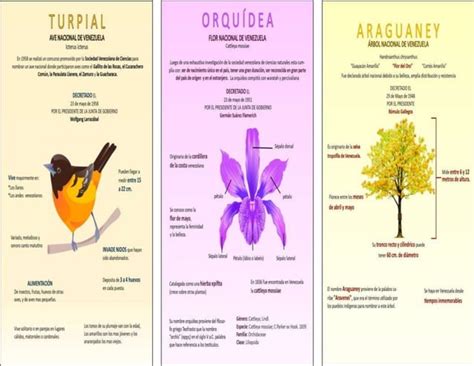 tríptico y laminas informativas sobre los símbolos naturales de