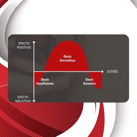 Hormesis Beneficios Del Estr S Para Tu Salud