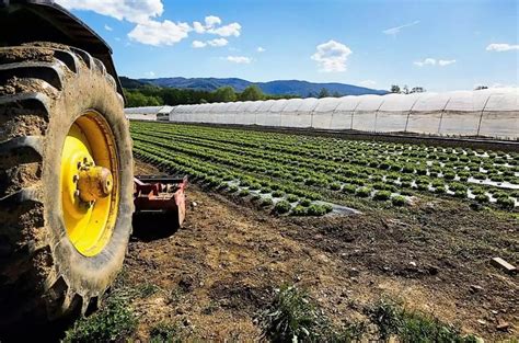 Ismea Via Alla A Edizione Della Banca Nazionale Terre Agricole