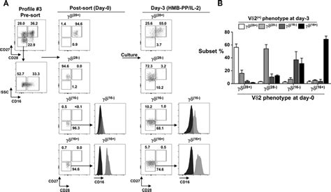 Fig S Phenotypic Analysis Of Sorted V T Cell Subsets After D