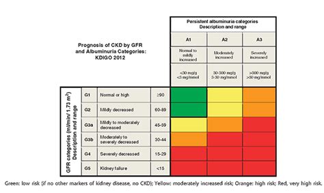 American Urological Association - Renal Mass and Localized Renal Cancer: AUA Guideline