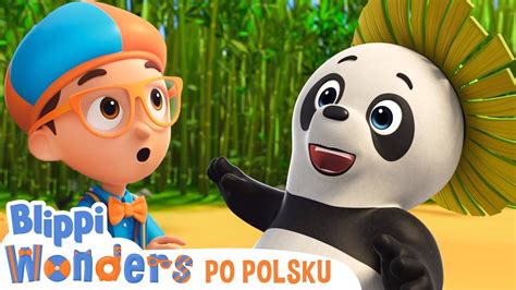 Panda Blippi chce wiedzieć Nauka i zabawa dla dzieci YouTube