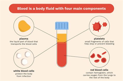 A Rare Blood Disorder, aTTP, Can Start With a Simple Symptom — But It Can Be Life-Threatening ...