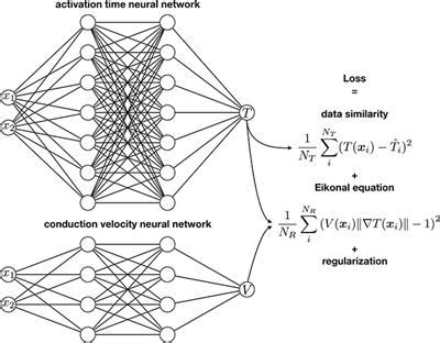 Frontiers Physics Informed Neural Networks For Cardiac Activation Mapping