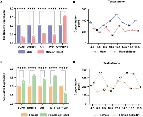 Frontiers Tle4z1 Facilitate The Male Sexual Differentiation Of