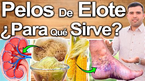 Aprender Acerca 89 Imagen Para Que Sirven Los Pelos De Elote Como