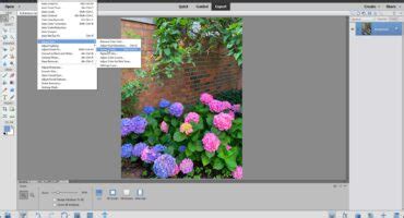 Photoshop Elements Tutorial Training Course Teachucomp Inc