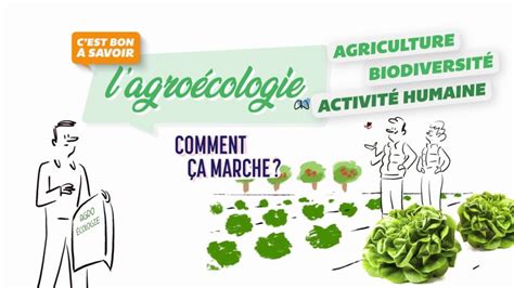 L Agro Cologie Comment A Marche En Replay C Est Bon Savoir