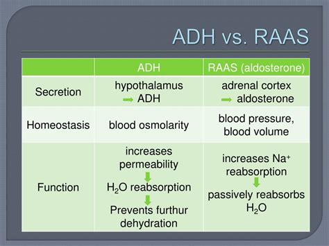 Aldosterone And Antidiuretic Hormone Ppt Endocrine Control Of