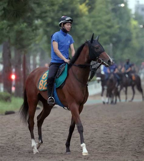 【今週の注目新馬】良血アップトゥミー「しまいがしっかりしている」 サンスポzbat