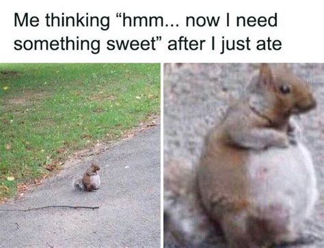 These Memes Are Both Funny And Relatable 47 PICS Izismile