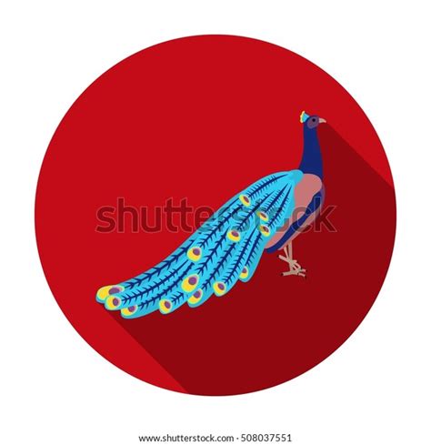 Peacock Icon Flat Style Isolated On Stock Vector Royalty Free 508037551 Shutterstock