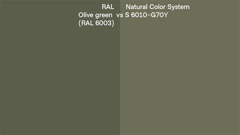 Ral Olive Green Ral 6003 Vs Natural Color System S 6010 G70y Side By