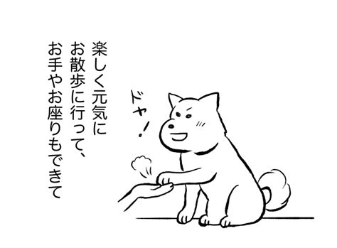 看取るということ⑩〜センターの人の想い〜 │ たまさんちのホゴイヌホゴネコ。