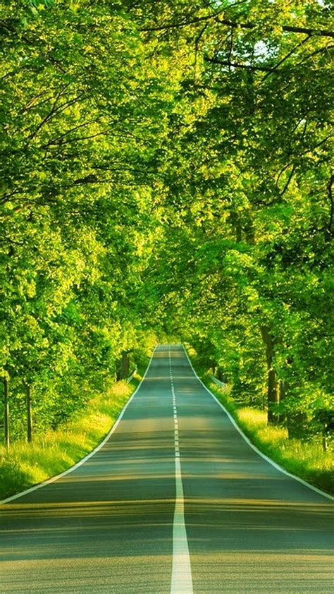 IPhone 8 Nature Green. 2020 3D iPhone, Nature 5 HD phone wallpaper | Pxfuel