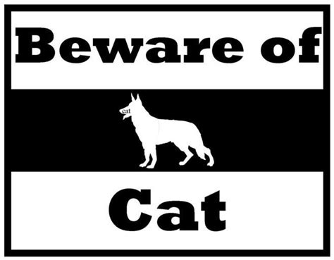 Free Images Beware Cat