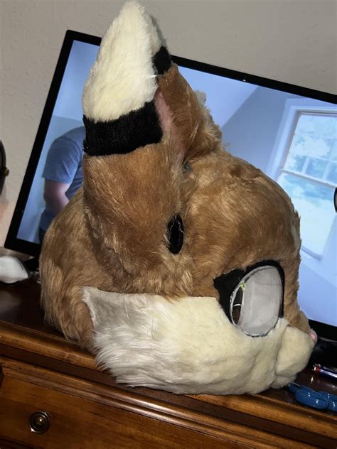 The Progress Of My First Fursuit Head Rfursuitmaking