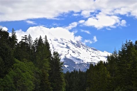 Fun Day Trips From Seattle To Get More Out Of Life Flavorverse