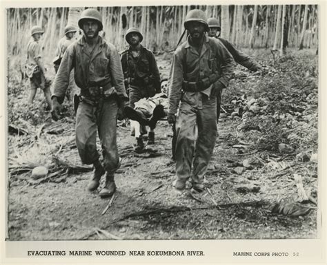 US Marines evacuating wounded, Guadalcanal | The Digital Collections of ...