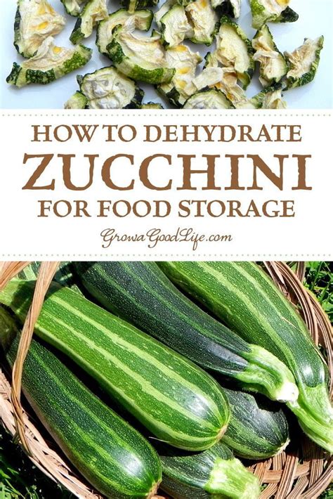 How To Dehydrate Zucchini For Food Storage The Summer Vegetable Garden