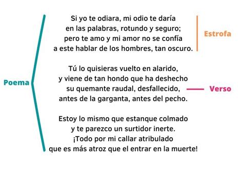 Seguro Comorama Sentirse Mal Cuales Son Las Partes De Un Poema Poner A