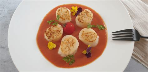 Pan Seared Hokkaido Scallops With Tomato Coulis Culinary Ambition