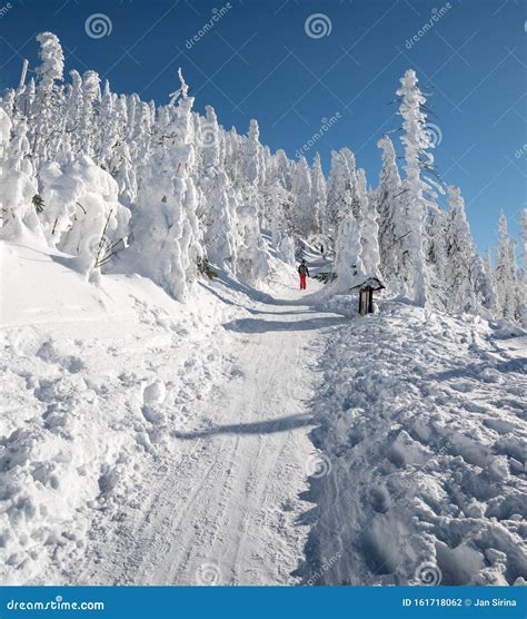 Beautiful Winter Scenery Bellow Lysa Hora Hill in Moravskoslezske