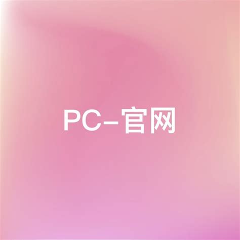 Pin Auf Pc 官网