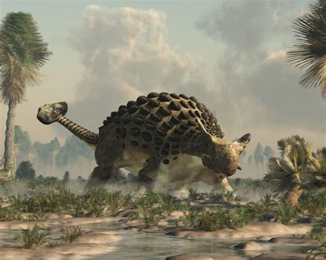 Ankylosaurus, The Club-tailed Dino | Dino Digest