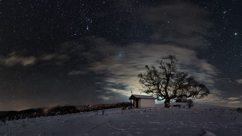 nature, Trees, Forest, Branch, Landscape, Winter, Snow, Clouds, Night ...