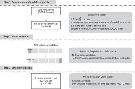 Flowchart Of Model Development And External Validation Process Seer