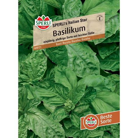 Sperli Basilikum Sperli´s Italian Star Ocimum Basilicum Kaufen Bei Obi