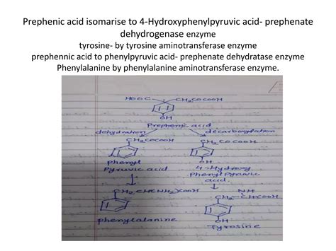 Biosynthetic Pathways Of Secondary Metabolites Ppt