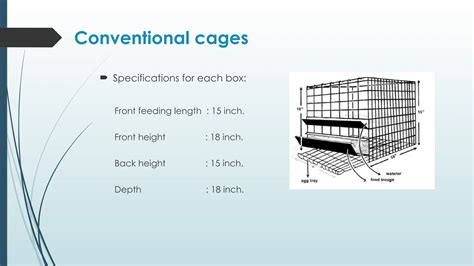 cage system  poultry housing types  advantagespptx