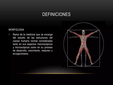 DIAPOSITIVAS TEMA 1 MORFOLOGIA Pptx Descarga Gratuita