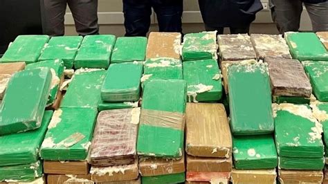 Livorno Sequestrati 53 Kg Di Cocaina Al Porto Tre Arresti