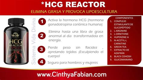 Vida Divina Productos Cinthya Fabian