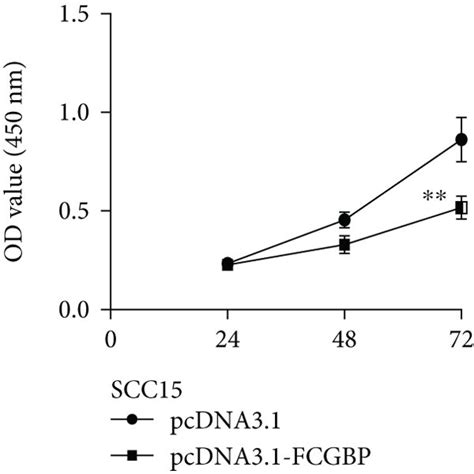 The Oncogenic Roles Of Fcgbp In Oscc Progression A Rt Pcr For The