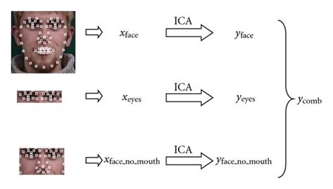 The Steps Of Facial Feature Extraction Download Scientific Diagram